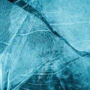 Fascia, organe de l'Unité . Julie Goldschmidt